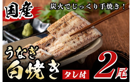 y134 国産！うなぎ白焼き(2尾・タレ付き) 国産 九州産 鰻 ウナギ 無頭 魚 魚介類 かばやき 蒲焼 蒲焼き しろやき 白焼 おかず 特産品 お土産 ギフト プレゼント 冷蔵【尾方屋】