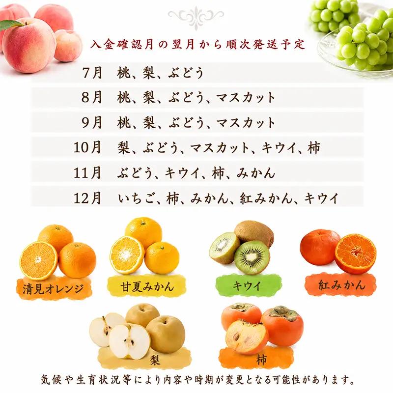 旬のフルーツ 詰合せ 丸亀讃美果 季節のフルーツ 果物