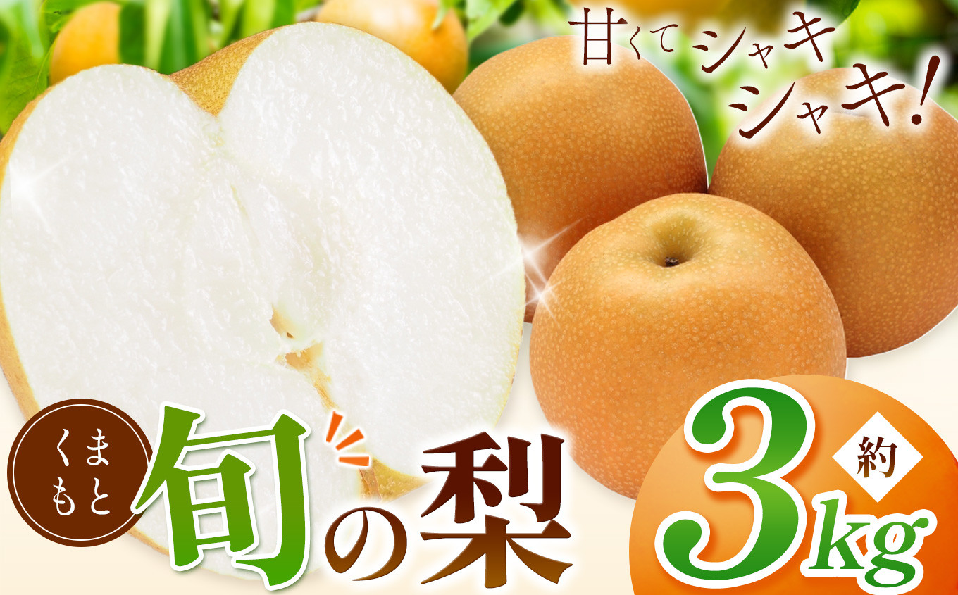 
くまもと 旬の 梨 約 3kg | 果物 フルーツ なし 豊水 凛夏 秋麗 秋月 あきづき 新高 甘太 熊本県 和水町 なごみまち
