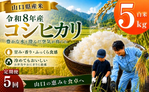 令和8年産 山口県産米 コシヒカリ 5kg 定期配送 5回 ｜ 令和8年産 コシヒカリ 山口県産米 こめ お米 コメ 白米 米 新米 ごはん 定期便 地元応援 瀬戸内 山口県 平生町 5kg