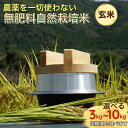 【ふるさと納税】米 令和6年産 自然栽培米 にこまる ＜農薬を一切使わない無肥料栽培＞ 玄米 3kg 5kg 10kg 選べる 1回 6回 12回 6ヶ月 12ヶ月 定期便 《京都丹波産 無農薬米栽培向き 厳選品種》 ※2024年10月中旬頃より順次発送予定