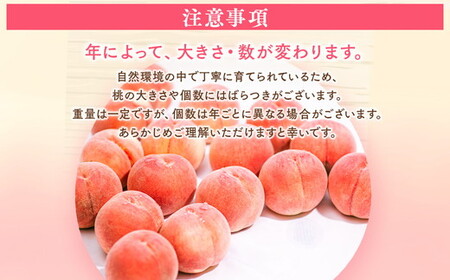 ◆2025年夏発送◆ 桃源の極み ～産直・桃・約1kg～　※離島への配送不可　※2025年7月上旬～9月上旬頃に順次発送予定