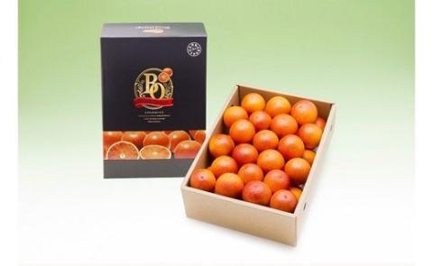 N-119 山内農園のブラッドオレンジ　５ｋｇ