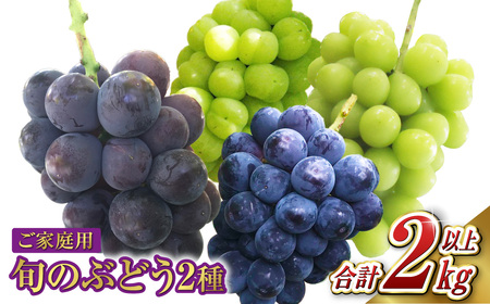 ご家庭用 旬のぶどう 2種（合計2kg以上）【2026年8月下旬～10月下旬 発送予定】【産地直送 岡山県産 国産 シャインマスカット ニューピオーネ ブドウ 葡萄 ぶどう 果物 ギフト たけまさぶどう園 人気フルーツ 岡山フルーツ おすすめフルーツ 岡山県 倉敷市 おすすめ 人気】