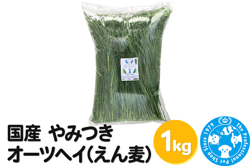 
国産 やみつきオーツヘイ（えん麦）1kg
