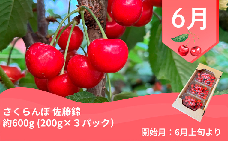 【定期便4回】やまがた郷土フルーツ定期便A FY25-342
