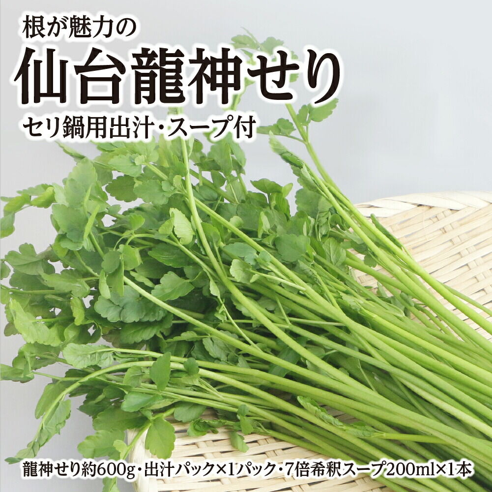 【期間限定】根が魅力の仙台龍神せり鍋出汁セット（セリ鍋用出汁・スープ付）(600ｇ)5～6人前 [せり鍋 仙台名物 冬 ごちそう 惣菜 セリ]