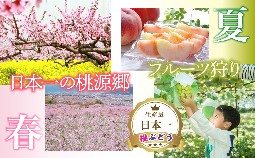 ふるさと納税 石和温泉利用券＜利用券3,000円分＞ 038-001  山梨県 笛吹市 いさわ ホテル 旅館 宿泊券 観光 旅行 果物狩り フルーツ ワイン ワイナリー 登山 ぶどう 桃 ブドウ 葡萄