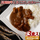 【ふるさと納税】長崎和牛とあごだしのカレー(200g入3食) 常温