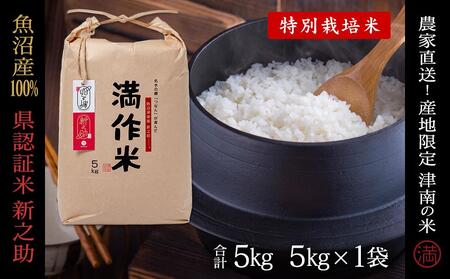【令和8年産 先行予約】県認証 魚沼津南産新之助 5kg(5kg×1袋) 産地限定！農家直送 |津南町 魚沼産 コシヒカリ