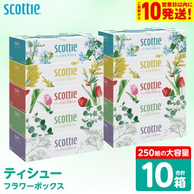 ふるさと納税 八代市 ティッシュ 250組 10箱 フラワーボックス  日用品 スコッティ_186-6424