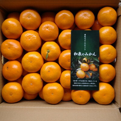 【ふるさと納税】隠れ名産地　和泉みかん温州早生(小玉中玉大玉サイズミックス)　10kg【1535225】