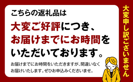 調味料 塩だれ 調味料 焼肉ザパンチ 1個