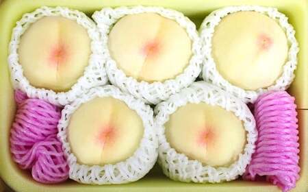 井頭栄果園 白桃 約1.3kg【2026年7月上旬～8月上旬まで順次発送予定】【もも 果物 フルーツ 国産 人気 おすすめ 岡山県 倉敷市】