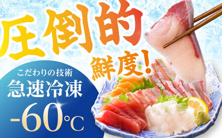 【全6回定期便】超速冷凍鮮魚6種（5種+焼物用1種）五島市/金沢鮮魚 魚  鮮魚 鮮魚ボックス [PEP066]