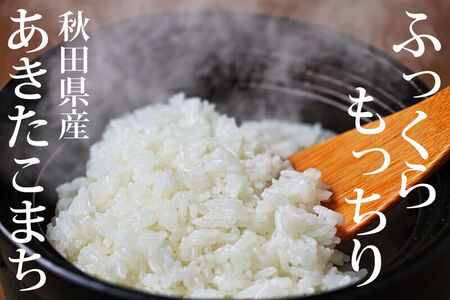 《令和8年産  新米先行受付》《定期便6ヶ月》秋田県産 あきたこまち 10kg(10kg×1袋)×6回【白米】計60kg [新米 あきたこまち 10kg 秋田県産 米 秋田県産 国産]