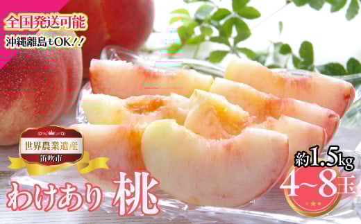 ＜25年発送先行予約＞山梨県笛吹市産　わけあり桃　約1.5kg　4玉～8玉 223-011