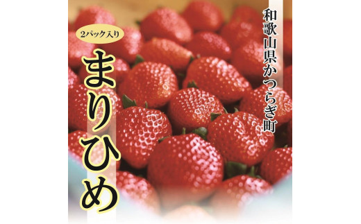 
特選☆いちご【まりひめ】１月中旬から5月上旬まで発送
