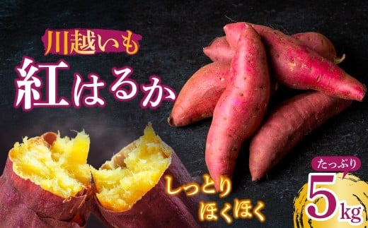 
            さつまいも 紅はるか 5kg | さつまいも サツマイモ さつま芋 紅はるか べにはるか 焼き芋 やきいも いも イモ 野菜 おやつ 天ぷら スイーツ 甘味 デザート 川越いも 株式会社ベジパル 埼玉県 所沢市
          