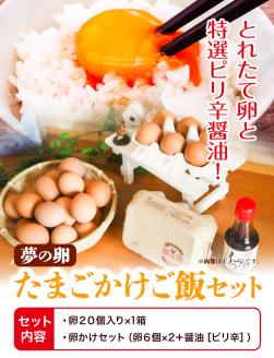 卵 夢の卵 赤玉 卵かけご飯セット 20個 + 12個 ピリ辛 醤油 1本《90日以内に出荷予定(土日祝除く)》株式会社めぐみ 岡山県 浅口市 送料無料 たまご 6個 × 2セット 卵かけごはん