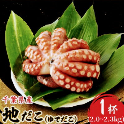 【ふるさと納税】地だこ 1杯(2.0～2.3kg)【配送不可地域：離島】【1580439】