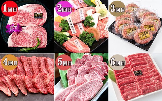 「定期便全6回」 佐賀牛 ステーキ・焼肉・ハンバーグ 寄附翌月から発送 (合計3.96kg) A5〜A4等級 ギフト 贈り物 「2023年 令和5年」