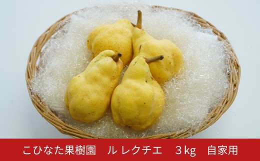 ＊先行予約＊ ル レクチエ ３kg 自家用 [2026年発送分] 令和８年産 洋梨 新潟 三条 燕三条 果物  [こひなた果樹園] ル レクチェ ル・レクチェ 【014S161】