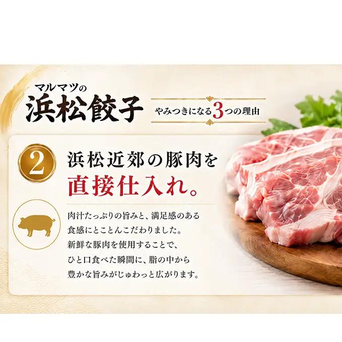 餃子 浜松餃子 120粒 定番の味 30粒×4袋 餃子
