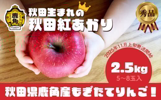 《 先行予約 》秋田県鹿角産りんご 秀品 「 秋田紅あかり 」 約 2.5kg （5～8玉入）●2025年11月上旬発送開始 【ケーケー農園】かづのりんご 食感 果汁 さっぱり リンゴ 完熟 旬 県産りんご 林檎 お中元 お歳暮 贈り物 お見舞い グルメ ギフト 故郷 秋田 あきた 鹿角市 鹿角 送料無料