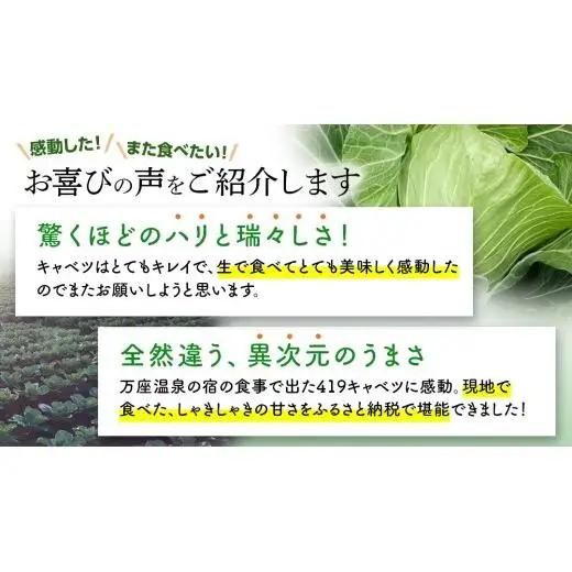 ＜レビューキャンペーン開催中＞＜7月中旬発送開始＞ 【 特選 】 まぼろしの419キャベツ 2玉 [AL020tu]