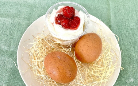 9種のカップdeケーキアソート15個入り カップケーキ 