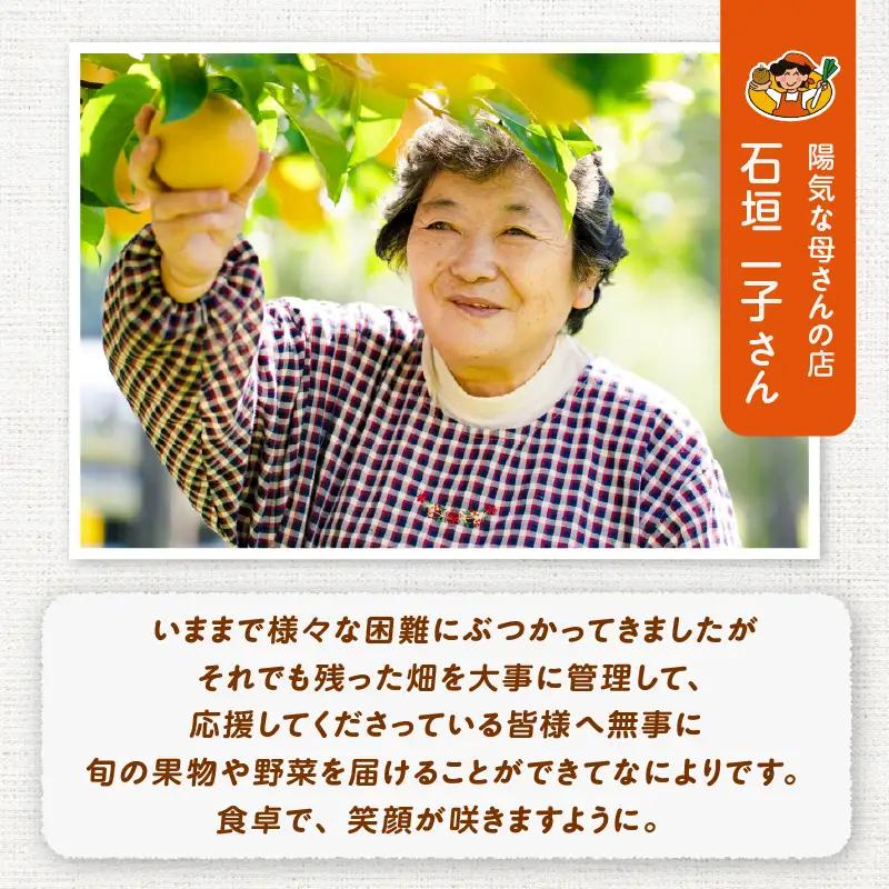 【令和7年産】あきたこまち10kg(5kg×2袋)　90P009003【陽気な母さんの店 】