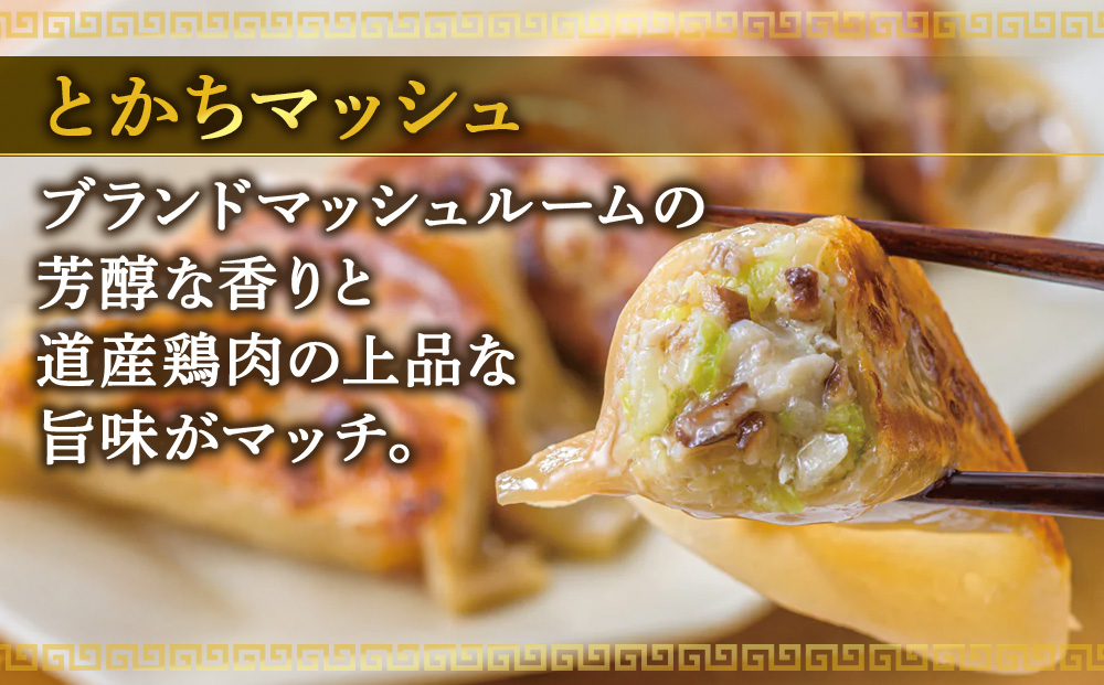 北海道餃子天のびろく とかちマッシュ12粒入 3箱
