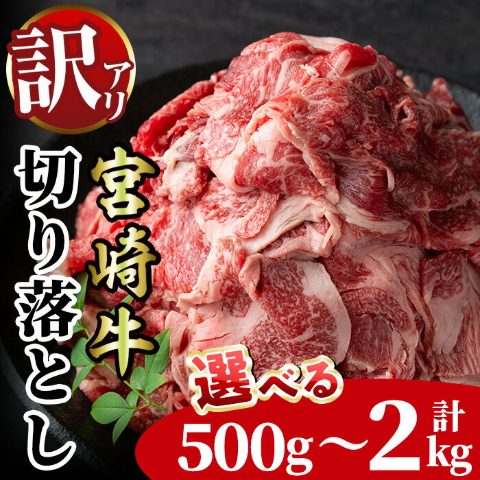 【ふるさと納税】＜内容量が選べる！訳あり！＞宮崎牛 切り落とし(計500g～2kg) 牛肉 肉 ブランド牛 冷凍 国産 精肉 お取り寄せ 黒毛和牛 宮崎県 【LJ004・LJ005・LJ006】【ローカルブランディング株式会社】