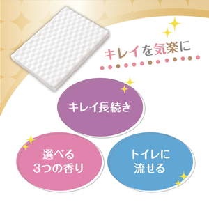 キレキラ！トイレクリーナー1枚で徹底お掃除シート　シトラスミントつめかえ用20枚×12パック