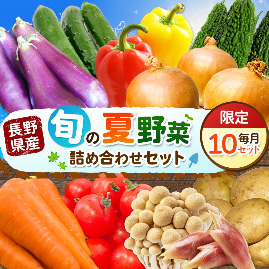 【ふるさと納税】天龍村 旬の夏野菜 （ 農産物 ） | 詰め合わせ セット 野菜 野菜セット 農産物 野菜類 詰合せ セット 長野県 天龍 てんりゅう