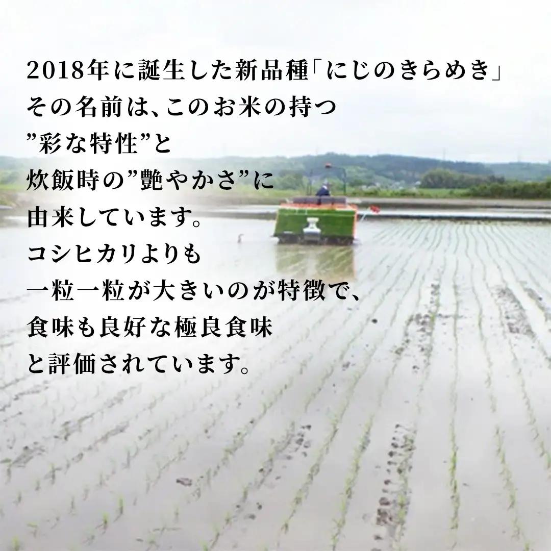 【令和8年産】にじのきらめき 精米 10kg  (5kg×2袋) 2026年10月発送開始  先行予約 産地直送 茨城県 城里町 新米 精白米 米 ご飯 米 白米 精米 単一原料米 (AX034)