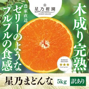 【訳あり】2024年先行受付 星乃みかん園の 星乃まどんな(5kg)【D45-62】【1339328】