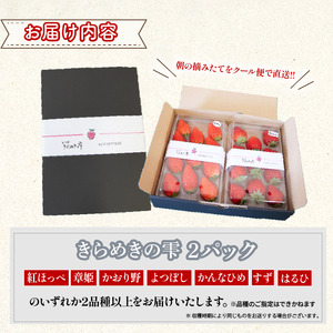 竜王産 いちご きらめきの雫 約165g以上 × 2 パック 食べ比べ セット
