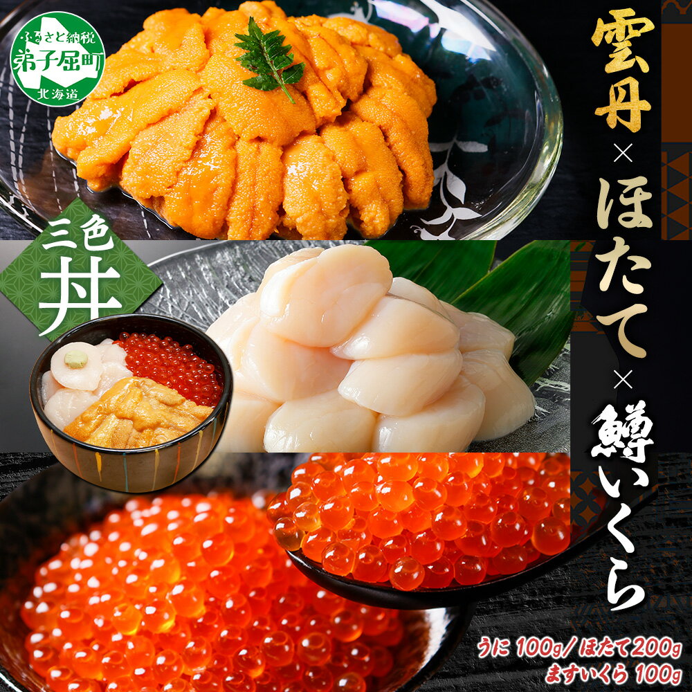 【ふるさと納税】 3430. 雲丹 100g ホタテ 200g 鱒いくら醤油漬け 100g 海鮮3種セット ウニ チリ産 冷凍 雲丹 鱒いくら いくら イクラ 鱒 ほたて 生ほたて 帆立 冷凍 海鮮 海鮮丼 北海道 弟子屈町