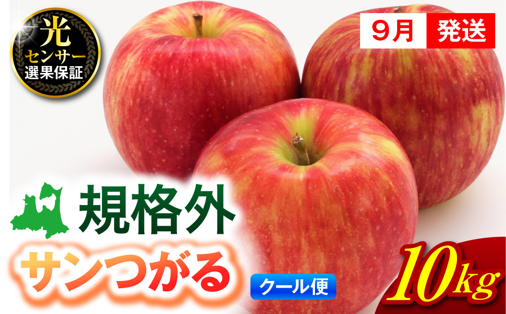 【2026年9月発送】【規格外】 りんご 10kg サンつがる 光センサー選果保証 青森県産 【クール便】