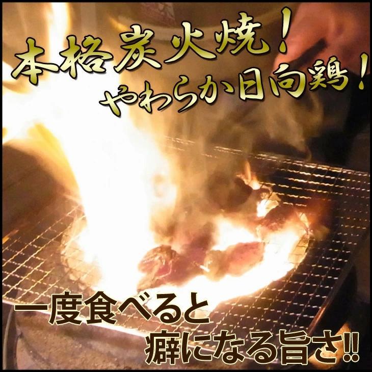 日向鶏炭火焼き400g×3ﾊﾟｯｸ1.2kg N066-YZB810_イメージ4