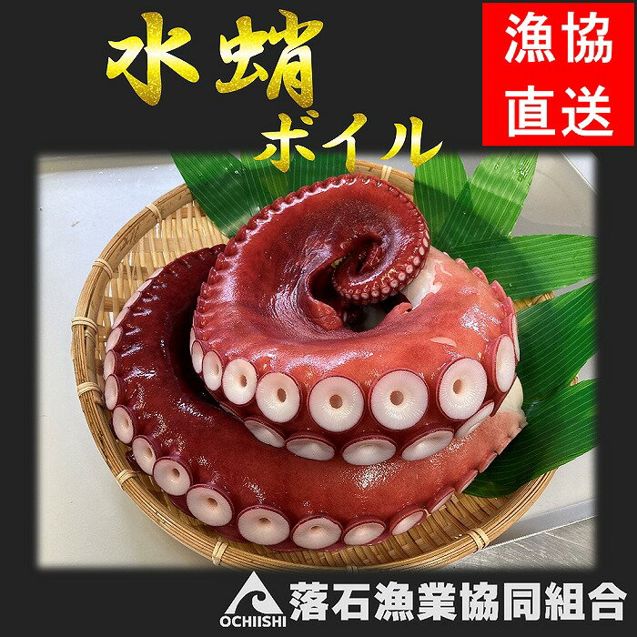 【ふるさと納税】[北海道根室産]ボイルたこ足(水蛸)ブロック3切(計1kg前後) A-20003