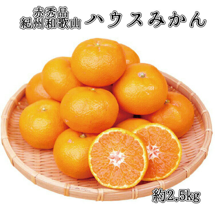 【ふるさと納税】 赤秀品　紀州和歌山ハウスみかん2.5kg【予約】　※2025年6月下旬頃〜2025年7月中旬頃に順次発送予定(お届け日指定不可)
