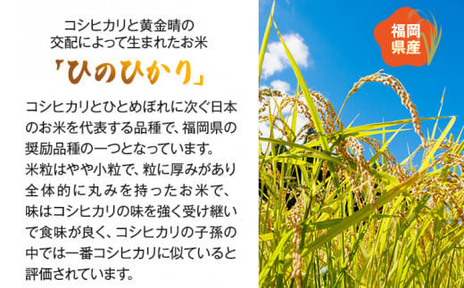 【令和6年産】 精米方法が選べる 福岡県 大木町産 ひのひかり 10kg　BC-S0001　BC01-1