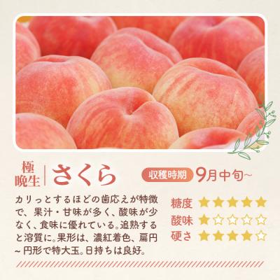 ふるさと納税 桑折町 もも【さくら・2026年産先行受付】特秀3kg(8〜11玉)桑折町振興公社　桃 |  | 01