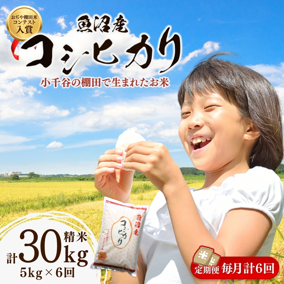 令和7年産 魚沼産コシヒカリ 棚田米 精米30kg（5kg×6回）定期便毎月発送【0002-RC05DB00-02】