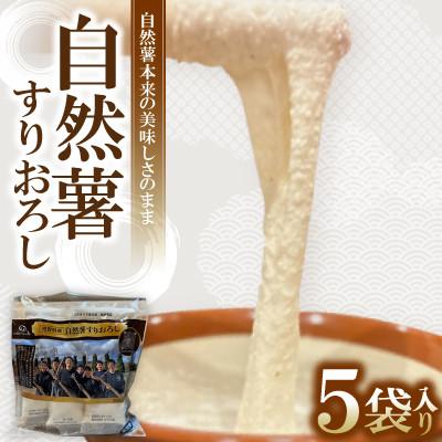 ふるさと納税 草津市 【毎月定期便】自然薯 すりおろし 冷凍 50g×5パック全3回