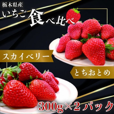 とちおとめ×スカイベリー　約300g×各1パック【配送不可地域：離島】【1383714】