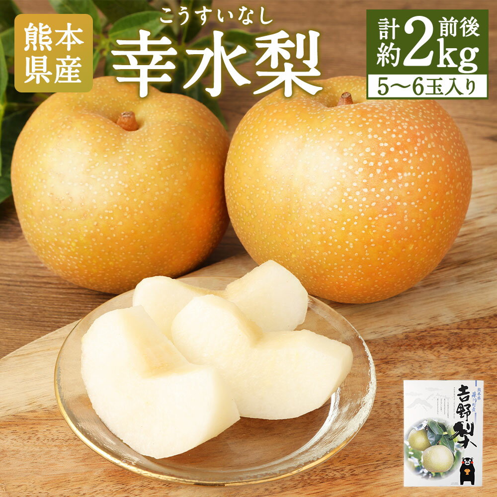 【ふるさと納税】熊本県産 幸水梨 2キロ 5～6玉入り 2kg 幸水 梨 ナシ なし フルーツ 果物 くだもの 冷蔵 九州 熊本県 送料無料 【2025年7月下旬発送開始】